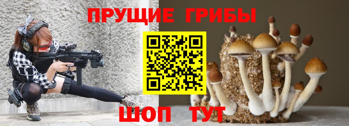 Псилоцибиновые грибы Psilocybe  Вход с VPN  Щёлково  Псилоцибиновые грибы мицелий 