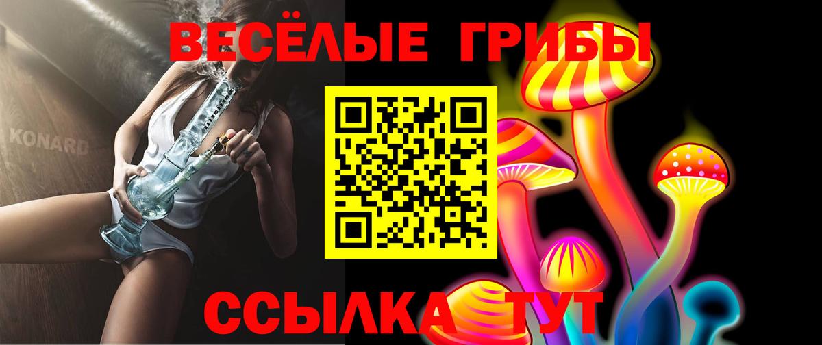 Галлюциногенные грибы GOLDEN TEACHER Щёлково